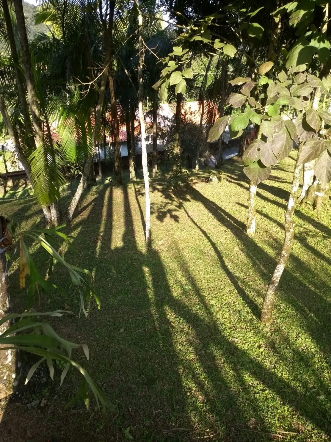 Casa à Venda com terreno de 1220m2 em Santa Luzia - Jaragua do Sul