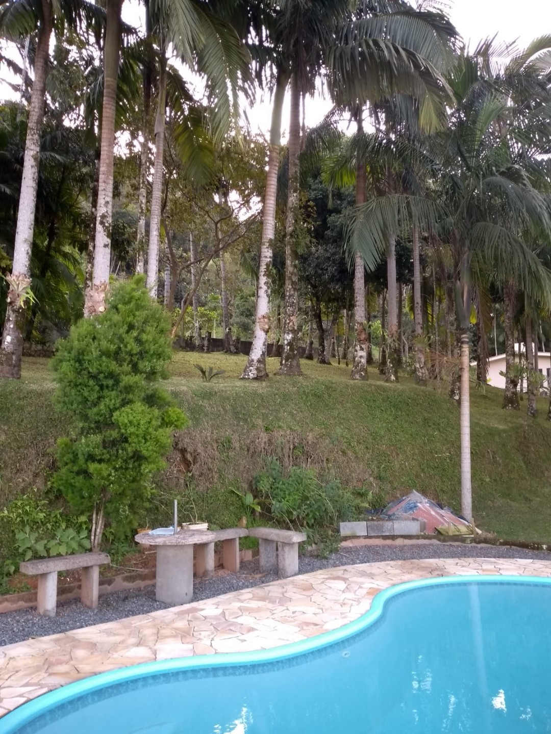 Casa à Venda com terreno de 1220m2 em Santa Luzia - Jaragua do Sul
