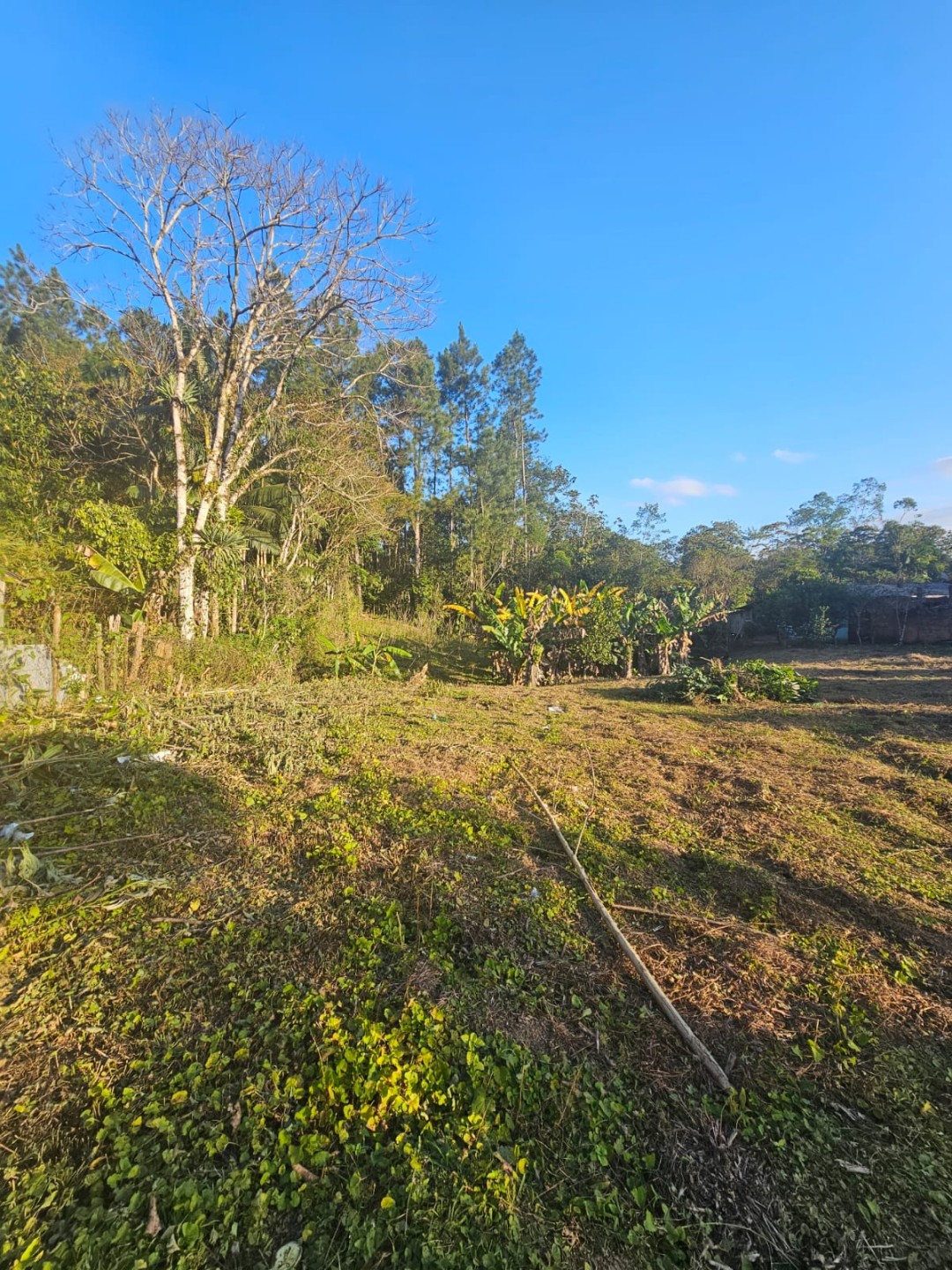 Terreno à Venda no Bairro Itoupava-Açu em Schroeder