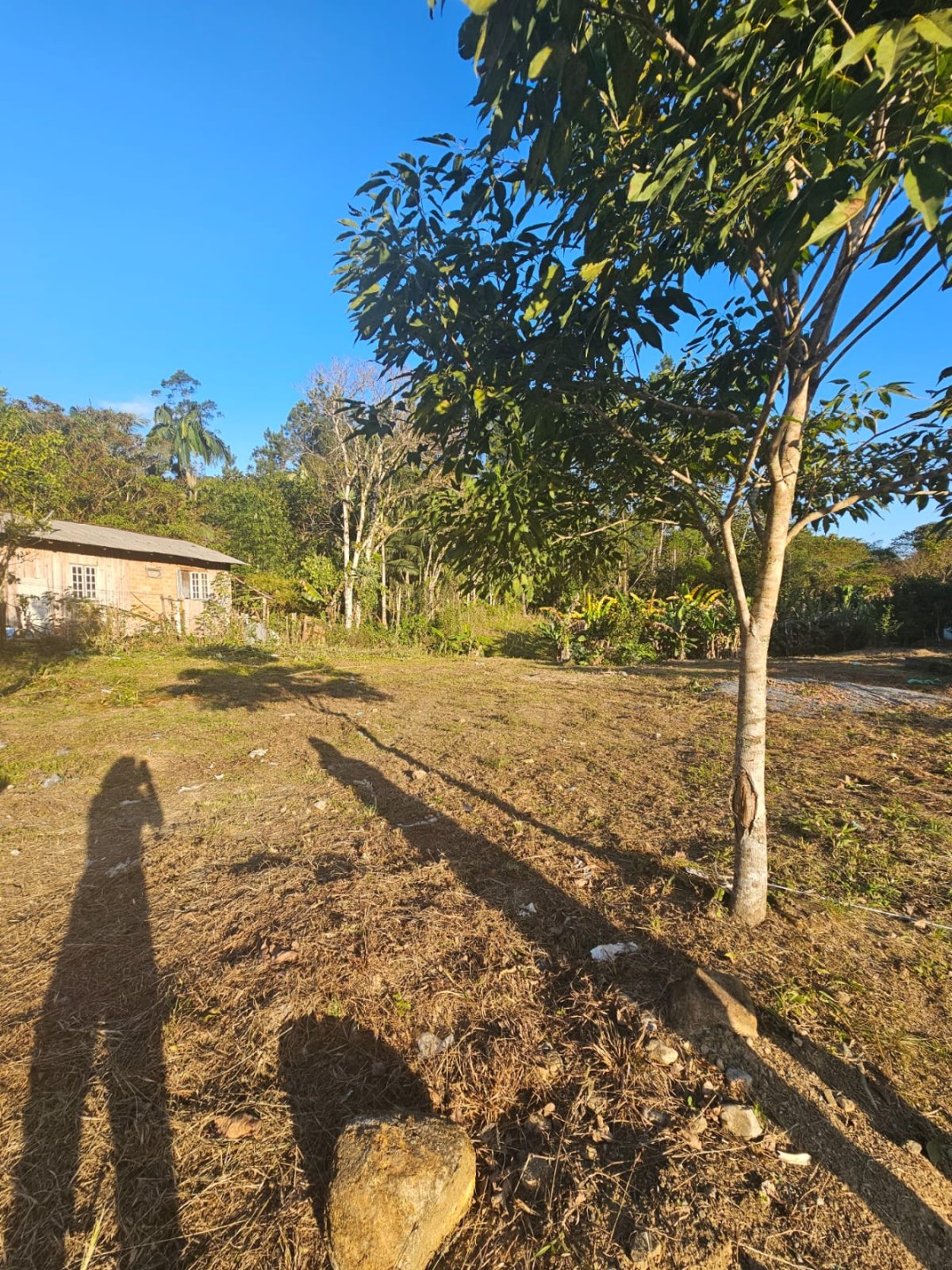 Terreno à Venda no Bairro Itoupava-Açu em Schroeder
