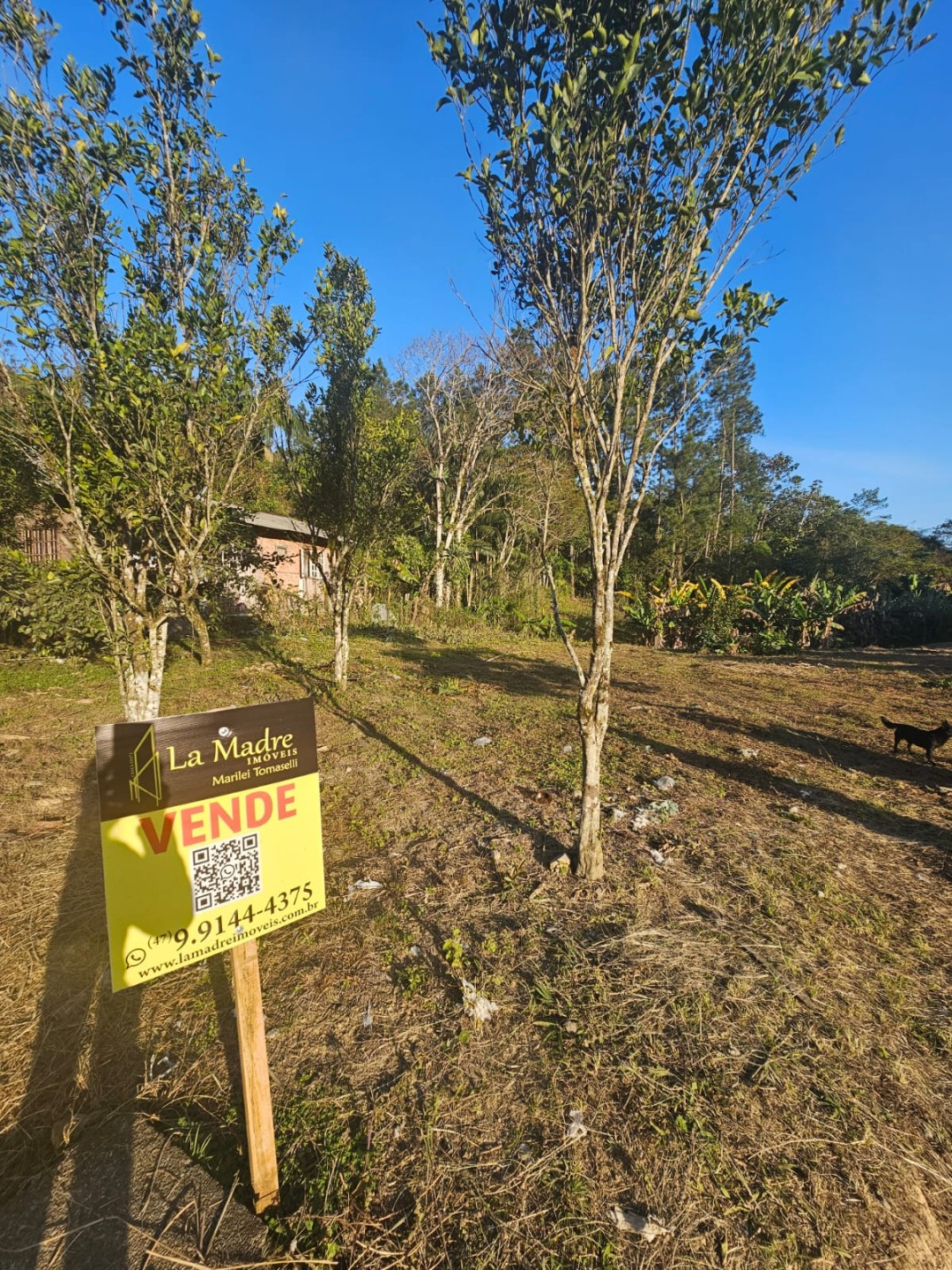 Terreno à Venda no Bairro Itoupava-Açu em Schroeder