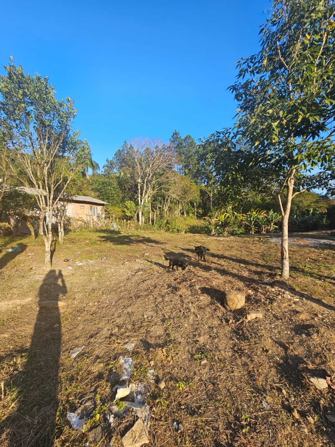 Terreno à Venda no Bairro Itoupava-Açu em Schroeder