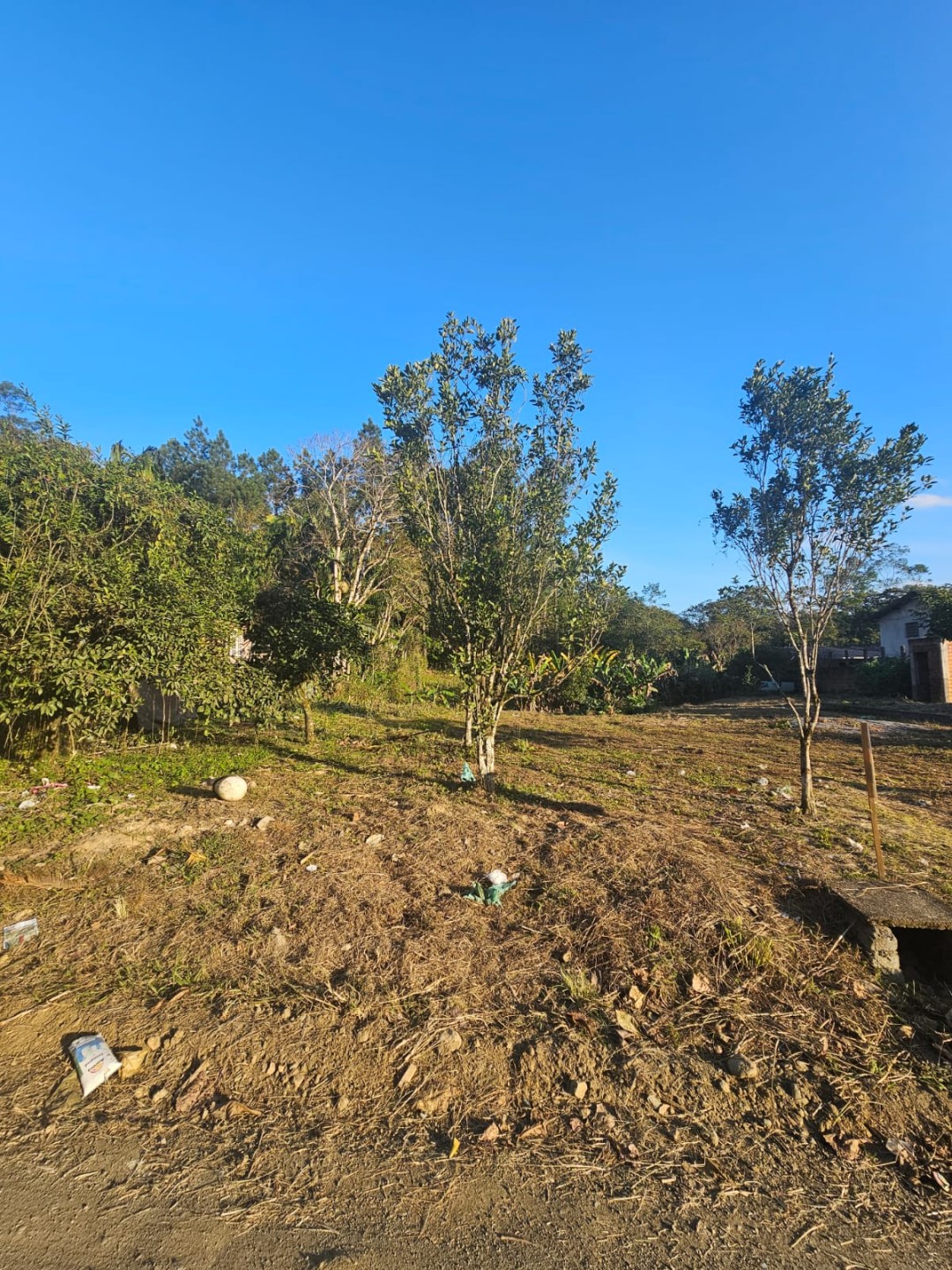 Terreno à Venda no Bairro Itoupava-Açu em Schroeder