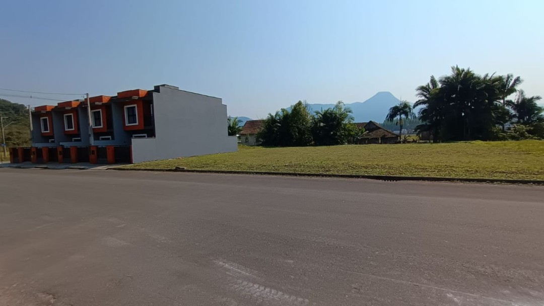 Geminado na planta no Bairro Centro Leste em Schroeder